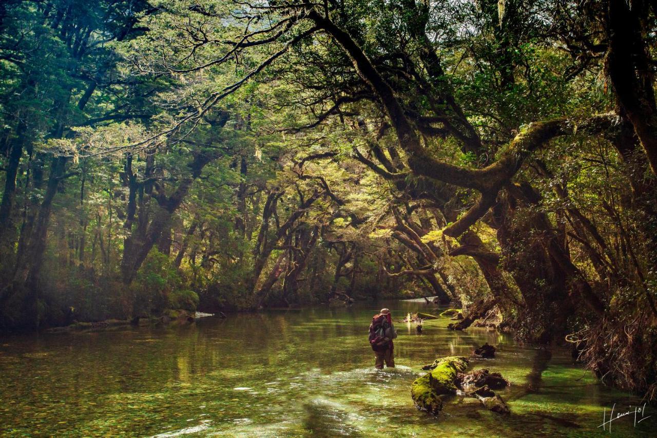 Hermoso Eco Lodge San Martin de los Andes Luaran gambar