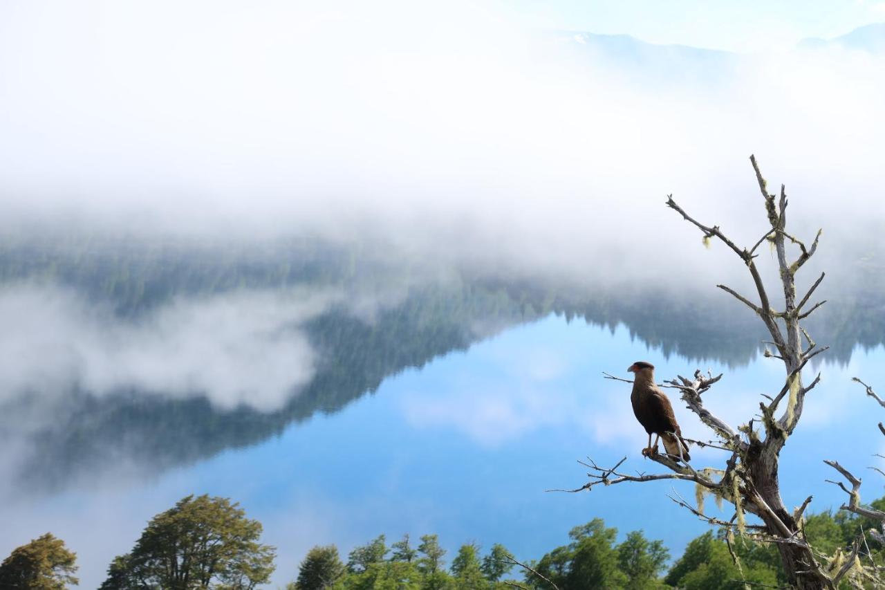 Hermoso Eco Lodge San Martin de los Andes Luaran gambar