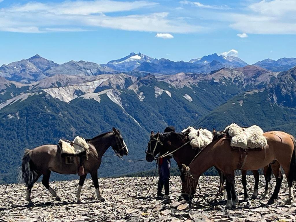 Hermoso Eco Lodge San Martin de los Andes Luaran gambar