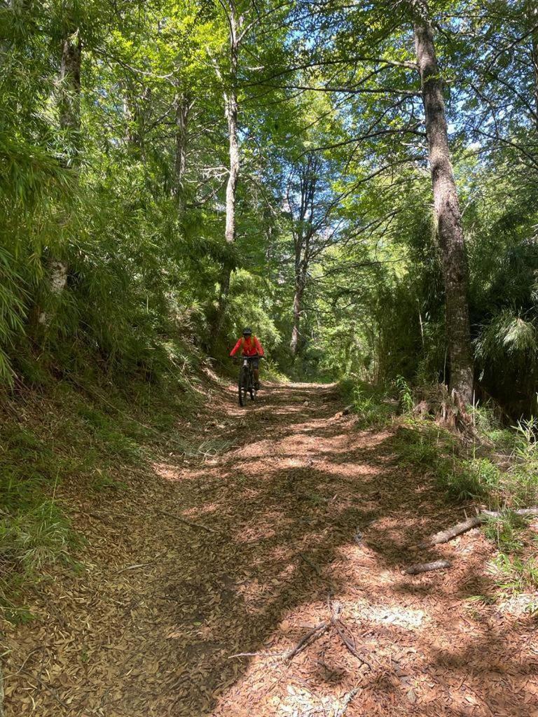 Hermoso Eco Lodge San Martin de los Andes Luaran gambar